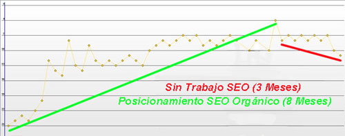 seo-caida-3-meses
