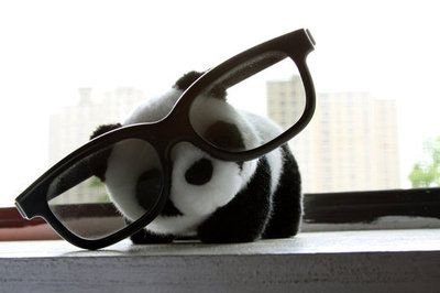 panda_glasses_seo